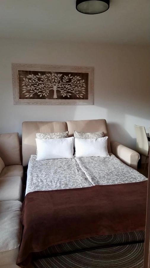 El Mocan Luxury Apartment 滨海帕尔姆 外观 照片