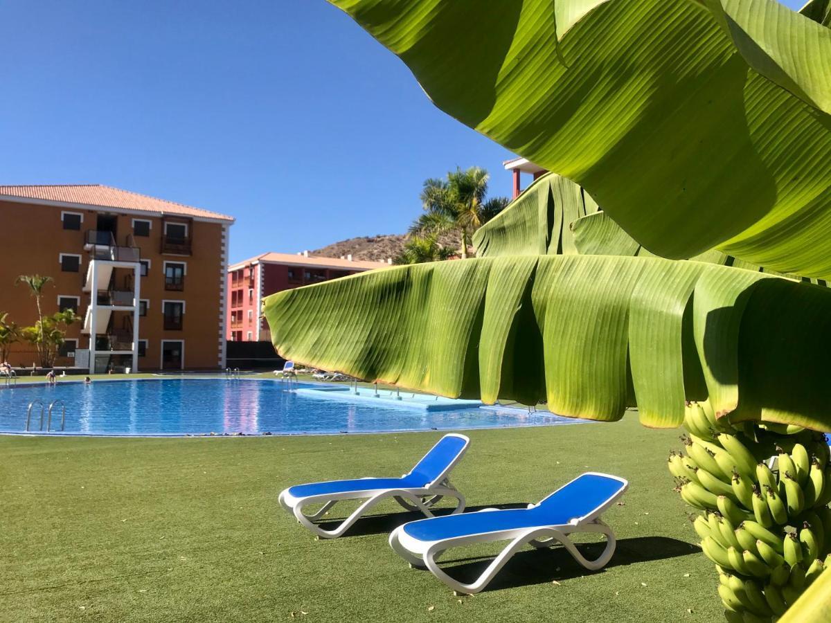El Mocan Luxury Apartment 滨海帕尔姆 外观 照片